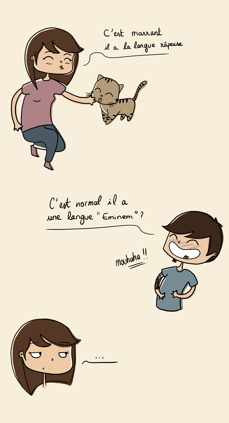 blague, blague chat, humour